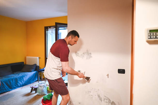 Best Mold Removal Specialists  in Old Orchard, PA