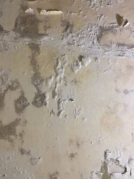 Water Damage Restoration in Old Orchard, PA