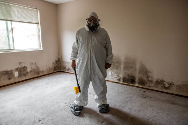 Best Certified Mold Removal  in Old Orchard, PA